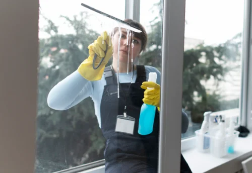 Nettoyage de vitres intérieures et extérieures à Viterne